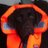 rob_muggridge's profile image