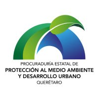 PEPMADU QUERÉTARO (@pepmadu) 's Twitter Profile