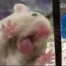 LilDreamerBold's profile picture. En palabras de Ángeles Mastreta, me enamoro como las mujeres inteligentes: como una idiota. // Ser mujer no es un sentimiento ♀️. // Adicta al cloro 🏊‍♀️.