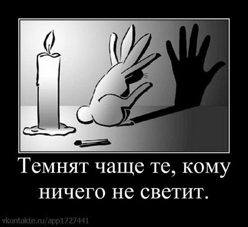 89886958888's profile picture. Раб Аллаха