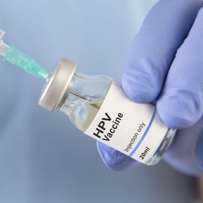 hpvvax's profile picture. 