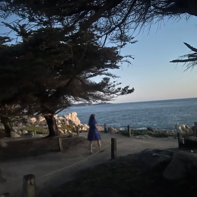 میروم، اما نمیپرسم زخویش، ره کجا، منزل کجا، مقصود چیست؟/مطالب با هشتگ چرتالتفاسیر صرفا جهت ابتذال و خیانت به ادبیات برای فیو و منشن و باقی رذایل توییتری است