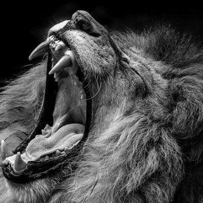 LlcSuber781's profile picture. I thank whatever gods that may be for my unconquerable soul