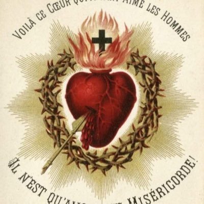 Lavarenien941's profile picture. Allergique a toute forme de gauche. Vive la France, Vive le Roi. France, rappelle toi de la promesse de ton baptême. Nouveau compte