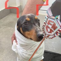 mundo1x (@mundo1k) 's Twitter Profile