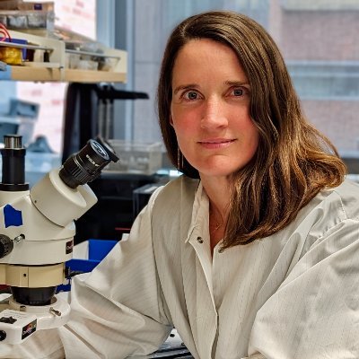 Anne Churchland Profile