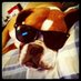 Tien Nguyen (@tien71700) Twitter profile photo