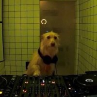 Bebe Howell (@bebehowell_) 's Twitter Profile Photo Bebe Howell (@bebehowell_) 's Twitter Profile Photo
