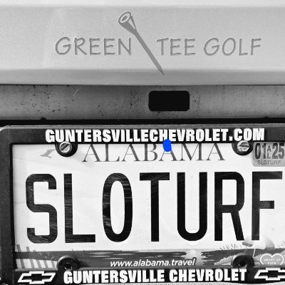 SLOturf's profile picture. Husband, Father, Dirt Grinding Grass Hack.