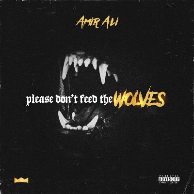 latest updates on Philadelphia artist Amir Ali @_this1forgordy
PLEASE DON’T FEED THE WOLVES official video out now on @youtube
this page is run by mgmt
