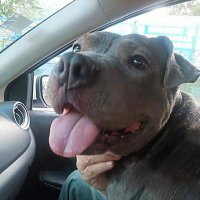 Polanski (@polloolea57) 's Twitter Profile