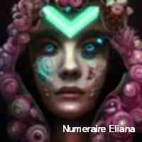Numeraire Eliana (@numeraireeelia) 's Twitter Profile