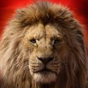 Political animal. Current affairs commentary 🇮🇱🇵🇸🇺🇸🇫🇷🇪🇸🇪🇺🎗️