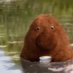 Brown Floating Turd (@hamishquandale) Twitter profile photo Brown Floating Turd (@hamishquandale) Twitter profile photo