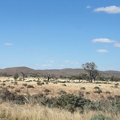 kezza8412584956's profile picture. Wife, Mum, Nana. Loves family, reading and travel. All opions and mistakes are mine.