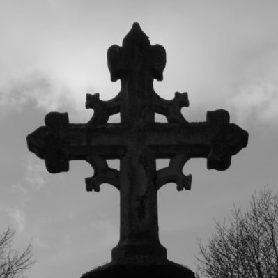 ironlung178's profile picture. 