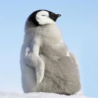Mínimo MC ☀️🐧 (@minimo_mc) 's Twitter Profile Photo Mínimo MC ☀️🐧 (@minimo_mc) 's Twitter Profile Photo