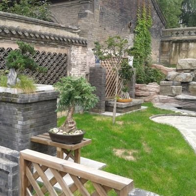 yoyng270575's profile picture. 