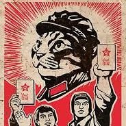 meow_zedong1's profile picture. 硅谷屌丝