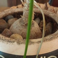 Mike (@94d27427f31048b) 's Twitter Profile