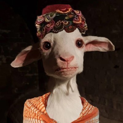 guzelhisari's profile picture. olur, niye olmasın