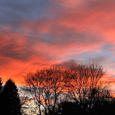 Sambest68334's profile picture. 