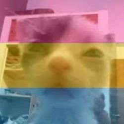 LazyBeanBr's profile picture. Just an artist || 
Speak Portuguese Brazilian/English || 
Pansexual || 
18 Years  || 
She/her ||