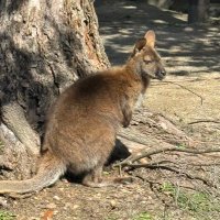 タク (@sfuc1973) 's Twitter Profile