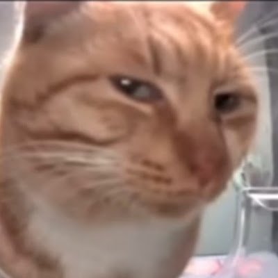 SCatussy54270's profile picture. 