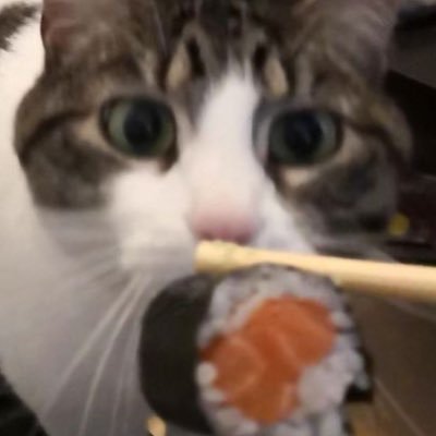 i post food polls | he/him | 17 | main: @avocado_377