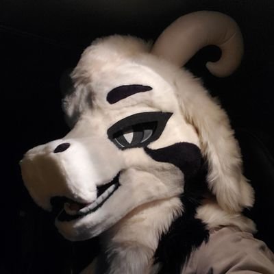 Toriel1one1 backup/AD friends only. 27 no nudes posted here. Taken by @Monty_the_lion