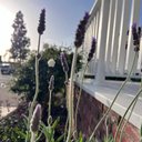 Laura Koop - @mamakoop2 - Twitter