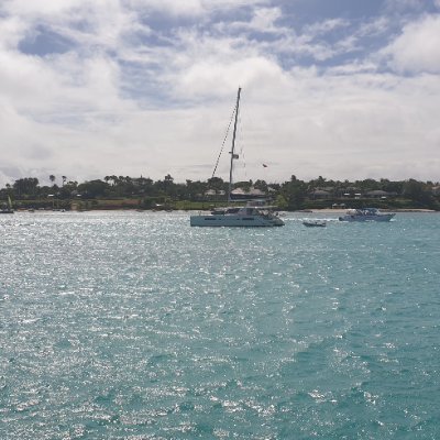 sebbienkowski's profile picture. 