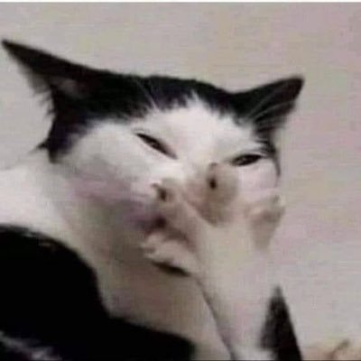 bicha se eu tweetar