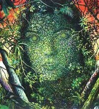 Informações, pesquisas e trocas de experiências sobre o Enteógeno Ayahuasca, Santo Daime, Hoasca, Vinho das Almas.