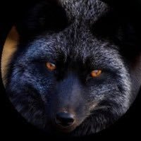 š©š“~Soy el Domi~ (@zorronegro09) 's Twitter Profile