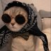 Your Favourite Cat Page (@yourfavcatpage) Twitter profile photo Your Favourite Cat Page (@yourfavcatpage) Twitter profile photo