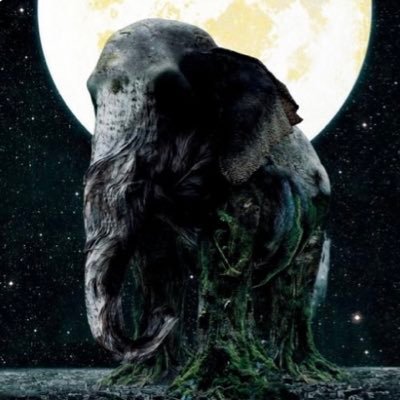 ASCENSION66310's profile picture. MISIAのデビュー時からの追っかけ 。 初ライブはひな祭りのHARLEM。それよりずっと前からユーミン。美味しいものと神社仏閣も好きですが、常識ない人は大嫌い