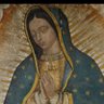 cantiliver26's profile picture. Lo difícil lo hacemos rápido, lo imposible nos tardamos un poquito.