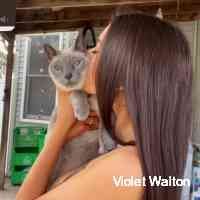 waltoonvioleet's profile picture. 📩 grace.hosea91gmail 
👩🏻‍🍳 dapur_nonie 
👗 https://t.co/kq95Yy8ohL
