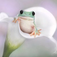 Marty Vite (@martyvite) 's Twitter Profile