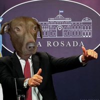 Pablo A. Solórzano (PichichoDorni) 🇦🇷 (@pichichodorni) 's Twitter Profile Photo