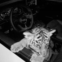 ّ (@_ii7___) Twitter profile photo