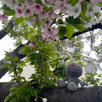 2022第一子👧🎀2024第二子👧🎀外資系IBで会社のお見合いのお手伝いしてます😌共働き戦士現在産休中👸🏻🏙️不妊治療🪽PGTA(着床前診断)します🫧 搾乳ママ