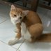 ., (@_fendyr) Twitter profile photo ., (@_fendyr) Twitter profile photo