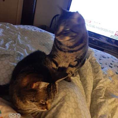 PeterRFern90465's profile picture. DO NOT ASK FOR MONEY YOU WILL BE BLOCKED
DO NOT ASK FOR MONEY YOU WILL BE BLOCKED !!Not here for any type of relationships. I don't talk much, so don't ask