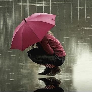 من به ذریه ی خاتم النّبی حساسم
شیعه ی #غدیریم غیرِ علی نشناسم♥️
رافضیه و افتخر