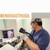 Endogastrogdl (@endogastrogdl) Twitter profile photo Endogastrogdl (@endogastrogdl) Twitter profile photo