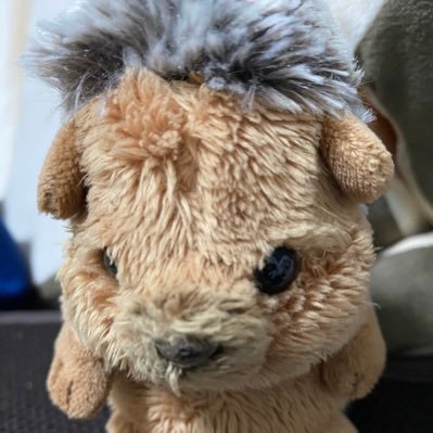 HAYATOK37504955's profile picture. よろしくお願いします。