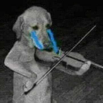 Telodije573569's profile picture. 